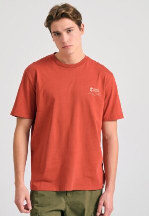 FBM011-086-04_SPICE_BROWN_1