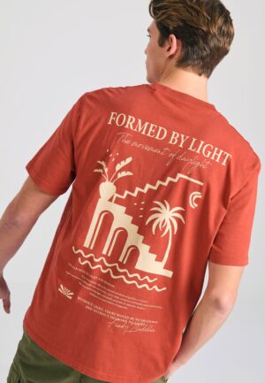 FBM011-086-04_SPICE_BROWN_2